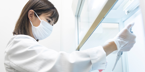 教室のご案内